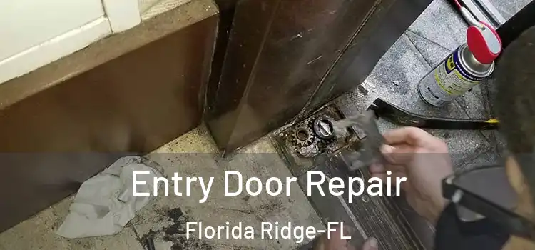 Entry Door Repair Florida Ridge-FL